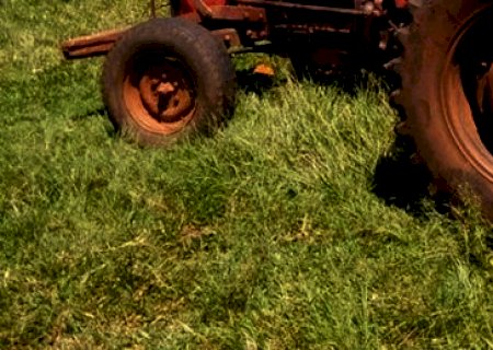 Trabalhador rural cai de trator e morre atropelado por veículo