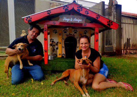 Itaporaenses constroem casa para animais de rua e estão montando uma ONG para resgatar e salvar vidas (Fotos e Vídeo)