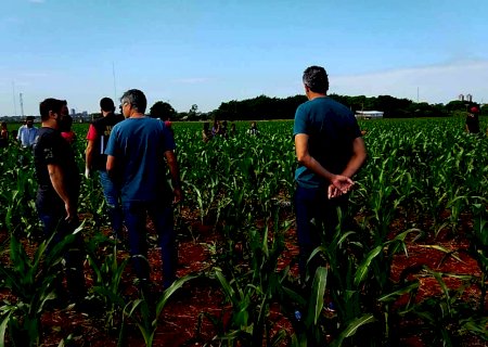 Dourados: Homem encontrado morto pode ter envolvimento em esquema de agiotagem internacional