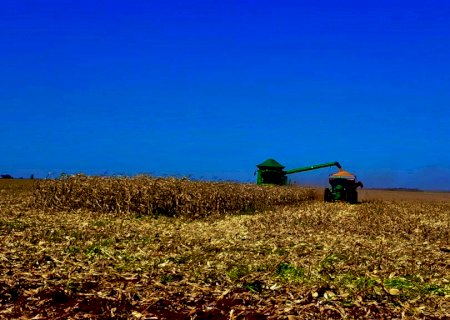Aprosoja/MS divulga custo de produção o milho 2020/2021