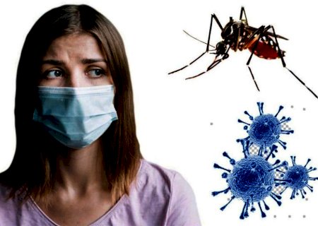 Apoio da população de Itaporã é necessário para manter dengue sob controle no município