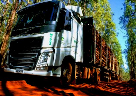 Eldorado Brasil abre novas vagas para motoristas em MS