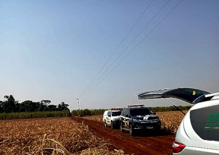Mulher encontrada morta na zona rural do município de Dourados