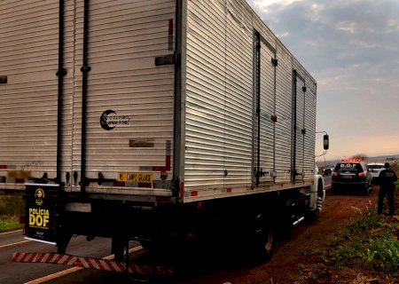 Maracaju: Caminhão com mais de 400 Kg de maconha escondidos entre sementes de girassol foi apreendido pelo DOF (Vídeo)