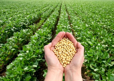 MS tem 13 municípios entre na lista dos 100 mais ricos do agronegócio no Brasil, aponta IBGE