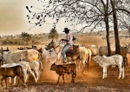 Agroneg&oacute;cio vinga com legi&atilde;o de trabalhadores que a vida herdaram dos pais