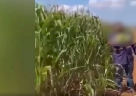VÍDEO: ROUBO DE MILHO TRAZ REVOLTA; QUAL A SUA OPINIÃO?