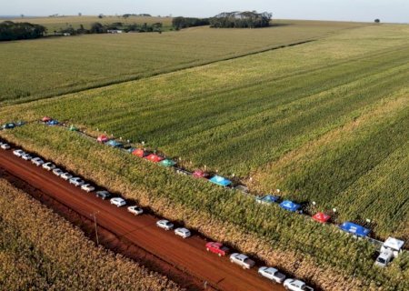 Coamo de Itaporã realiza dia de Campo de Milho segunda safra