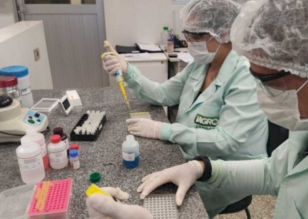 Iagro obtém credenciamento para diagnóstico de peste suína clássica e doença de Aujeszky em MS