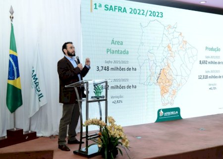Liberado o cultivo da soja em MS com produção estimada em 12,3 milhões de toneladas