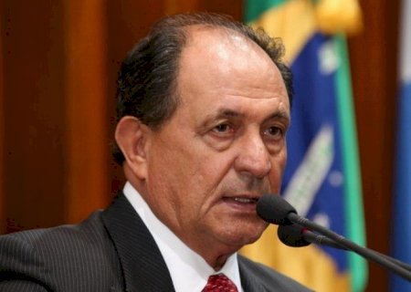 Aprovado em 2ª discussão projeto de Zé Teixeira que institui uso do Colar de Girassol em MS