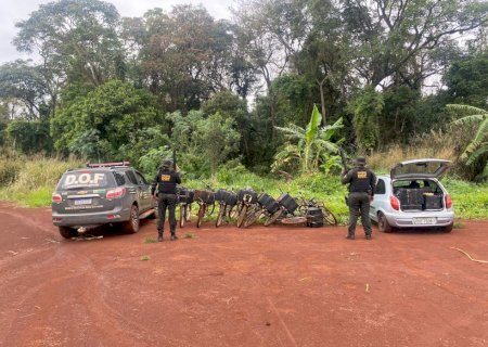 Oito bicicletas e mais de 600 quilos de maconha foram apreendidos pelo DOF em uma mata (Vídeo)