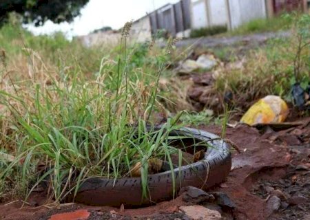 Leitores denunciam e orientam sobre foco do mosquito da dengue, aponta enquete