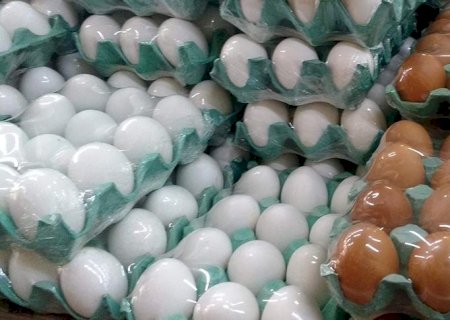 Emirados e Catar se destacam como destino dos ovos brasileiros