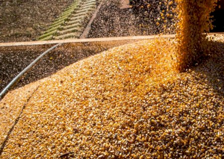 Valor da Produção Agropecuária fecha 2022 em R$ 1,189 trilhão