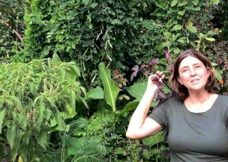 Tudo junto e misturado: m&eacute;todo descomplica a horta em casa