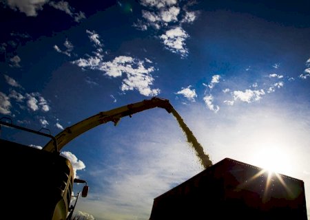 Projeção do VBP da Agropecuária de Mato Grosso do Sul em 2022 passa dos R$ 69 bilhões