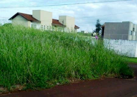 Proprietários ganham prazo para limpeza de terrenos baldios em Dourados
