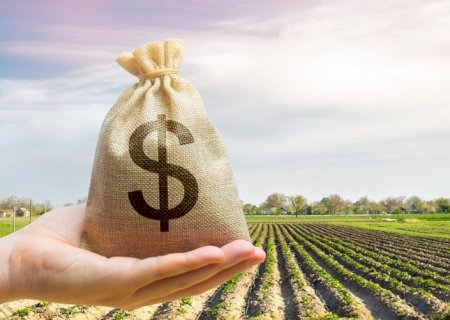 BNDES reabre linhas e anuncia mais crédito rural para safra 22/23