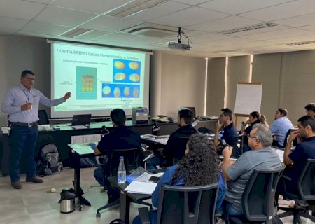 Aprosoja/MS capacita equipe técnica para classificação de grãos