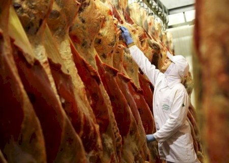 Vaca louca: Rússia suspende importação de carne bovina do Pará