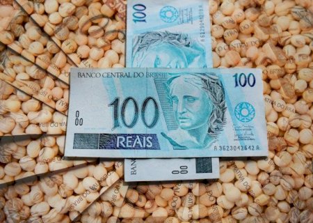 Vale a pena vender a soja agora? Consultor responde dúvida de produtor