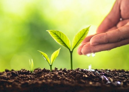 Ministério da Agricultura registra 44 defensivos agrícolas