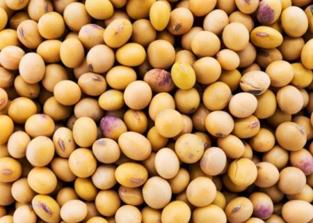 Produtores brasileiros vendem soja por medo de novas quedas
