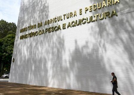 Intensificadas ações de investigação contra gripe aviária