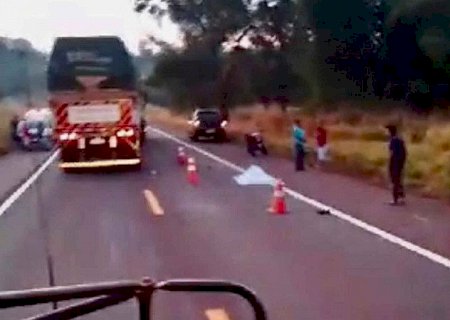 Tragédia na Rodovia: Motociclista perde a vida após colisão com anta