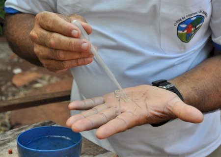 Saúde confirma mais uma morte por dengue e investiga outras sete em MS