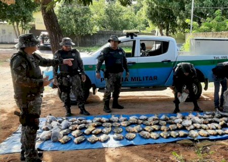 Mais de 700 kg de peixes são apreendidos em Aquidauana e Miranda durante operação