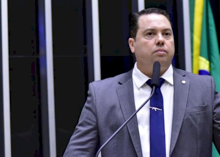 Após Marina Silva ser convocada por Rodolfo Nogueira, Ibama volta analisar licença para controle de javalis