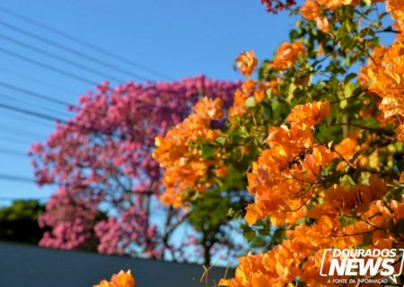 Primavera será marcada por calor, com chuvas dentro da média e risco de incêndios