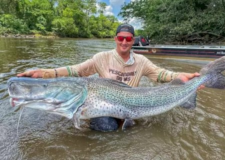 Pescador fisga dois pintados gigantes no rio Dourados