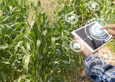 O Impacto Da Tecnologia Na Agricultura Brasileira