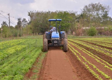 Lei nova garante mais recursos para crédito à agricultura familiar