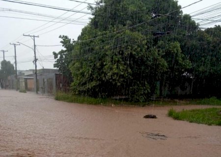 Temporal de 46 mm causa alagamentos e queda de árvores por Campo Grande