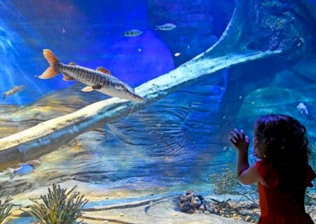 Bioparque Pantanal terá apresentações musicais e horário especial no Carnaval