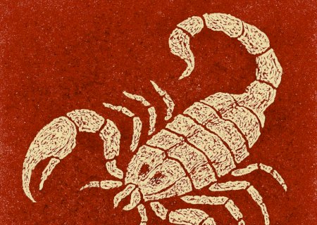 Defesa Civil de Itaporã emite alerta: período crítico de acidentes com escorpiões exige cuidados redobrados