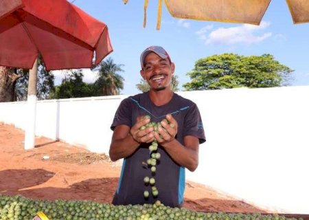 Guavira volta &agrave;s ruas e renova o sabor da primavera