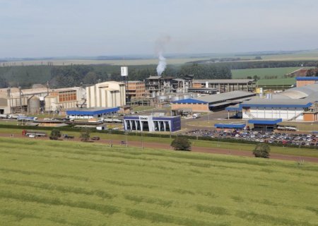 Coamo - Cooperativa vai antecipar R$ 200 milhões em sobras aos cooperados