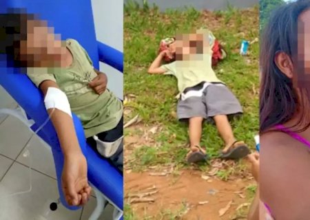 Ataque de abelhas deixa moradores feridos e causa pânico no MS