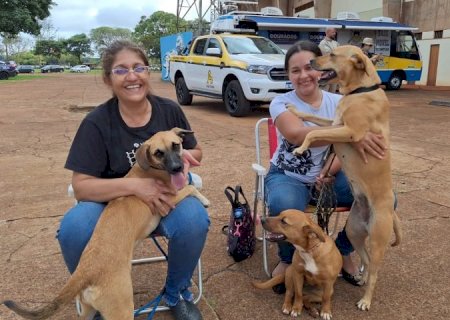 Caravana da Castração inicia os trabalhos de 2026 em Eldorado, na próxima quinta-feira