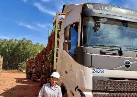Mulheres assumem o volante e mudam o perfil do transporte florestal em MS