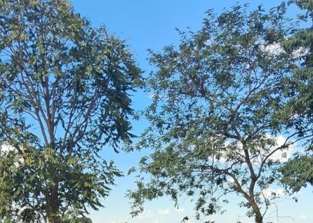 Vídeo - Astra tomba após bater na traseira de veículo na MS-156, em Itaporã