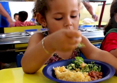 Prefeitura de Itaporã abre chamada pública para compra de alimentos da agricultura familiar para a merenda escolar