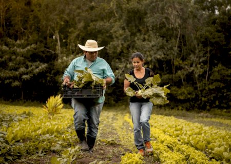 BNDES já aprovou R$ 7,2 bi para produtores rurais impactados por eventos climáticos