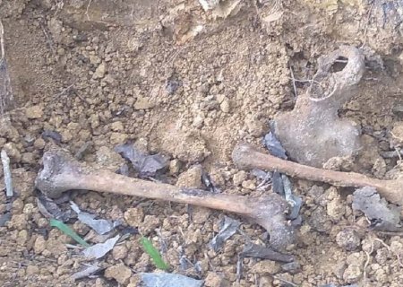 Adolescentes encontram ossada humana nas águas de córrego