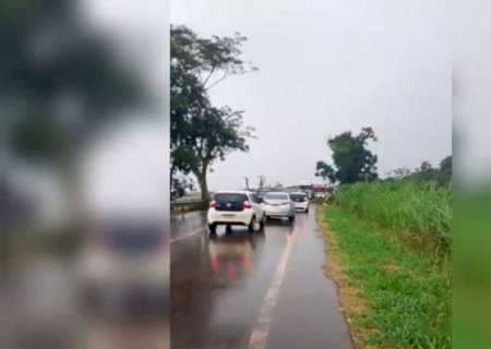 Temporal derruba árvore e bloqueia trecho da MS-156 entre Dourados e Itahum (vídeo)